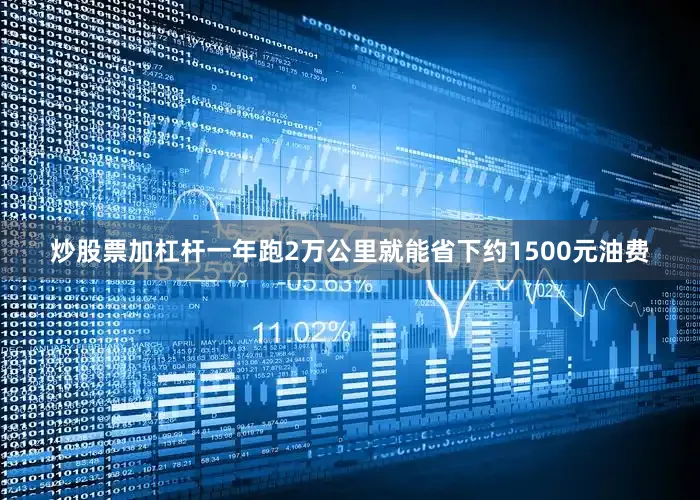 炒股票加杠杆一年跑2万公里就能省下约1500元油费