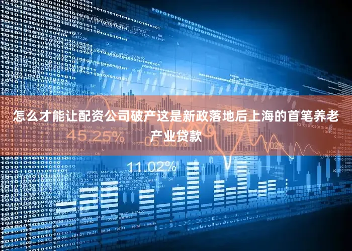 怎么才能让配资公司破产这是新政落地后上海的首笔养老产业贷款