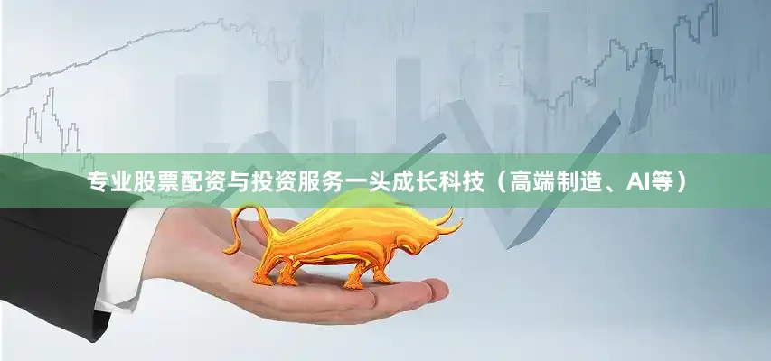专业股票配资与投资服务一头成长科技（高端制造、AI等）