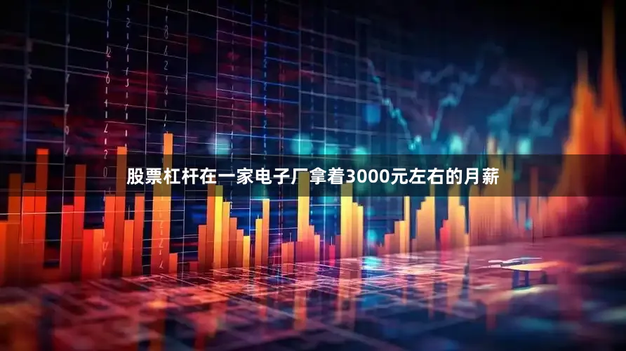 股票杠杆在一家电子厂拿着3000元左右的月薪