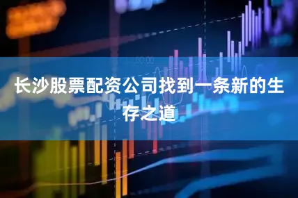 长沙股票配资公司找到一条新的生存之道